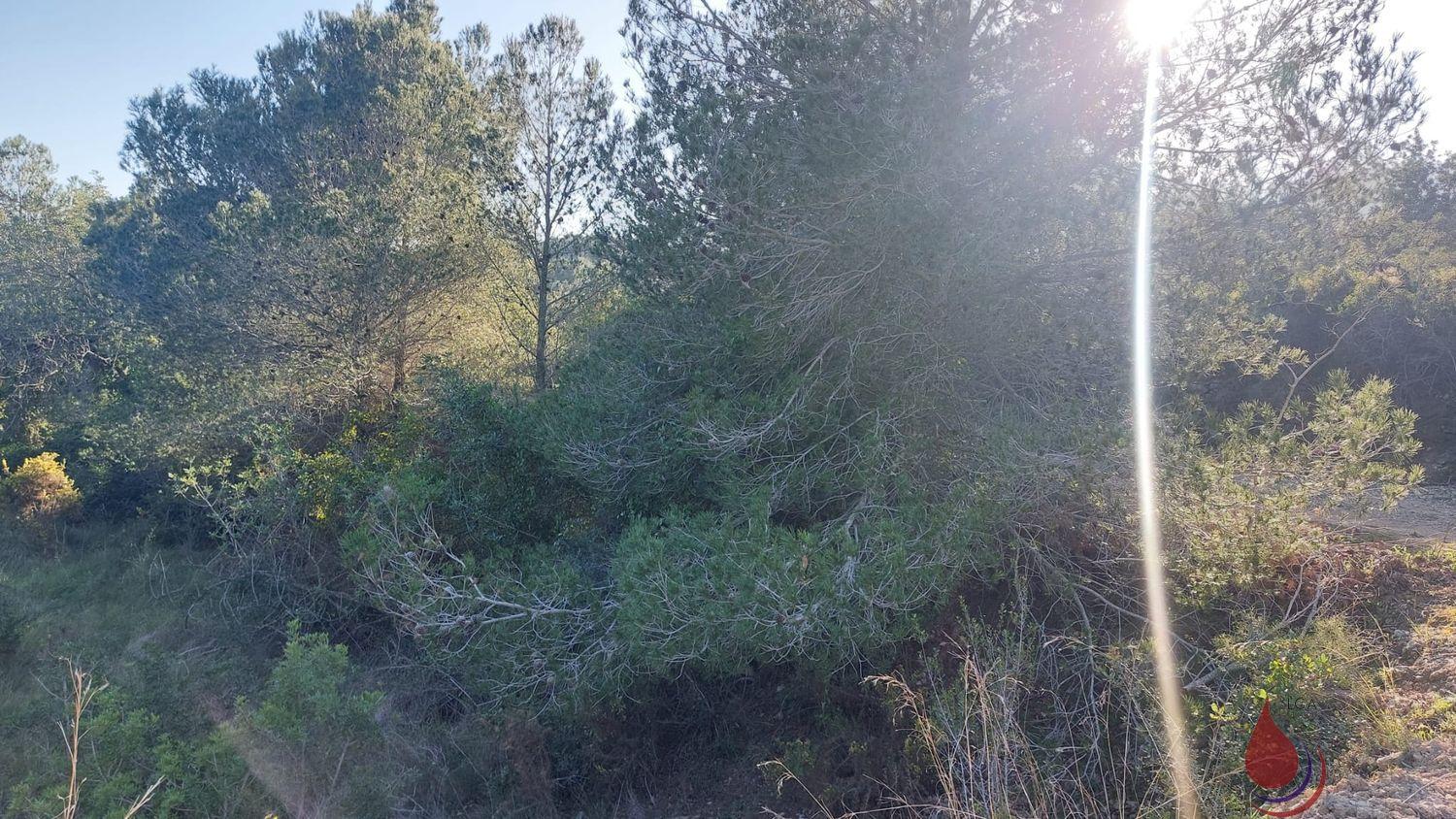 Venta de terreno en El Vendrell