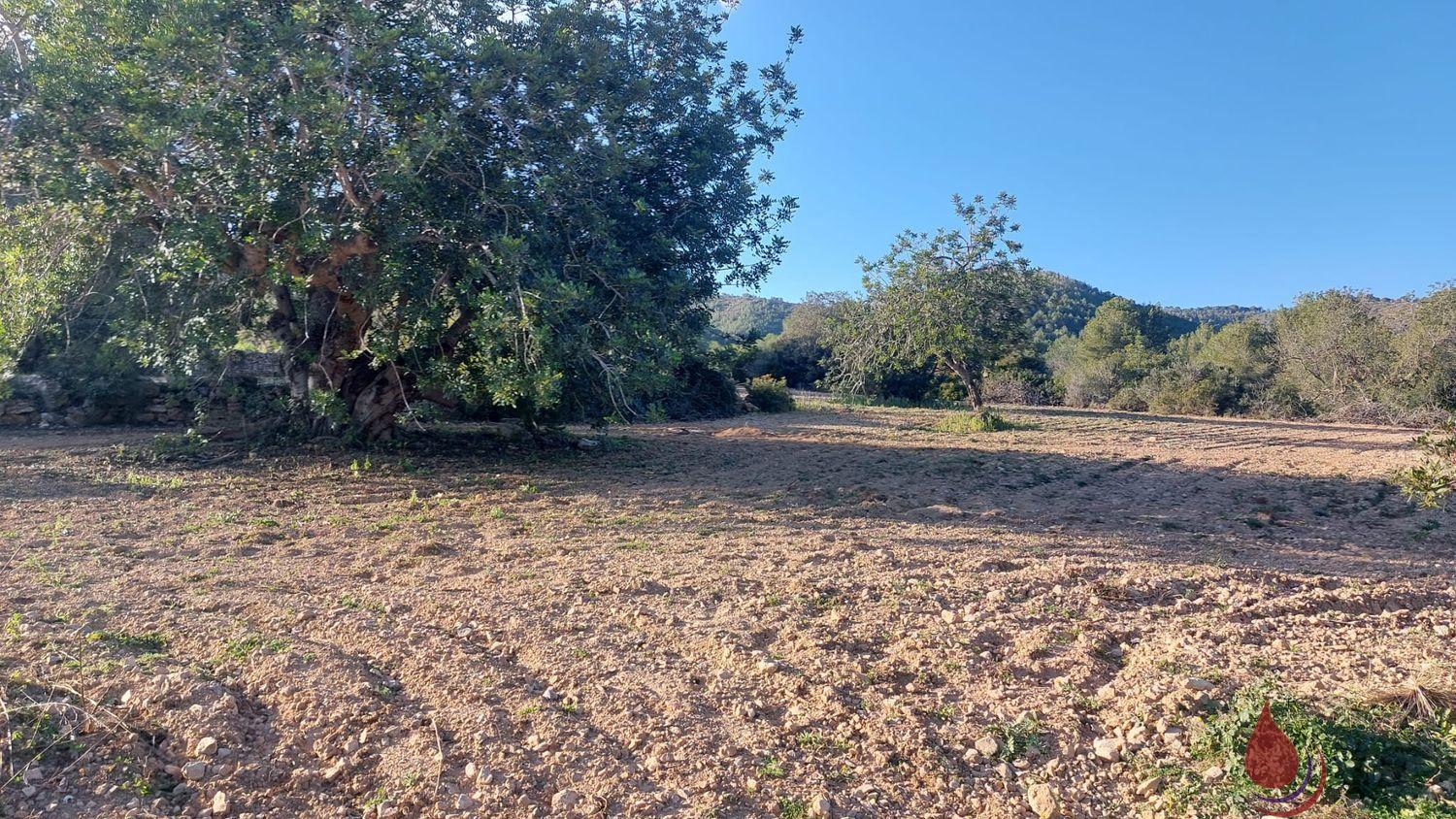 Venta de terreno en El Vendrell Venta de terreno en El Vendrell