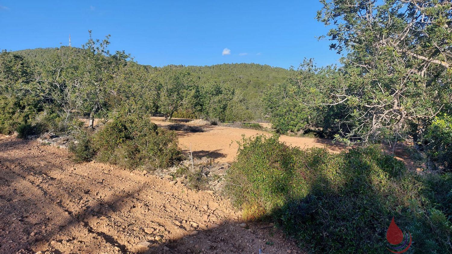 Venta de terreno en El Vendrell Venta de terreno en El Vendrell