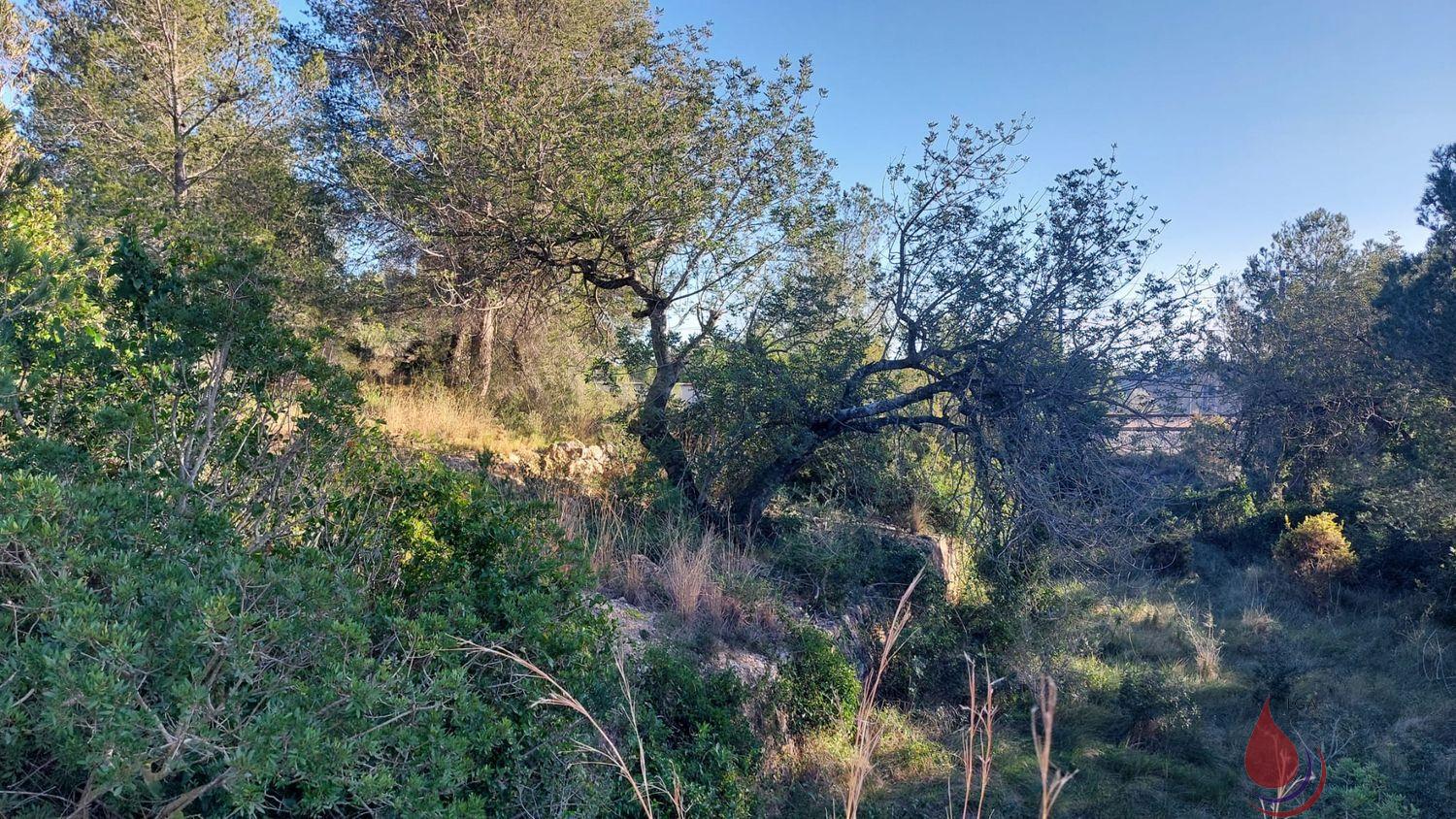 Venta de terreno en El Vendrell Venta de terreno en El Vendrell