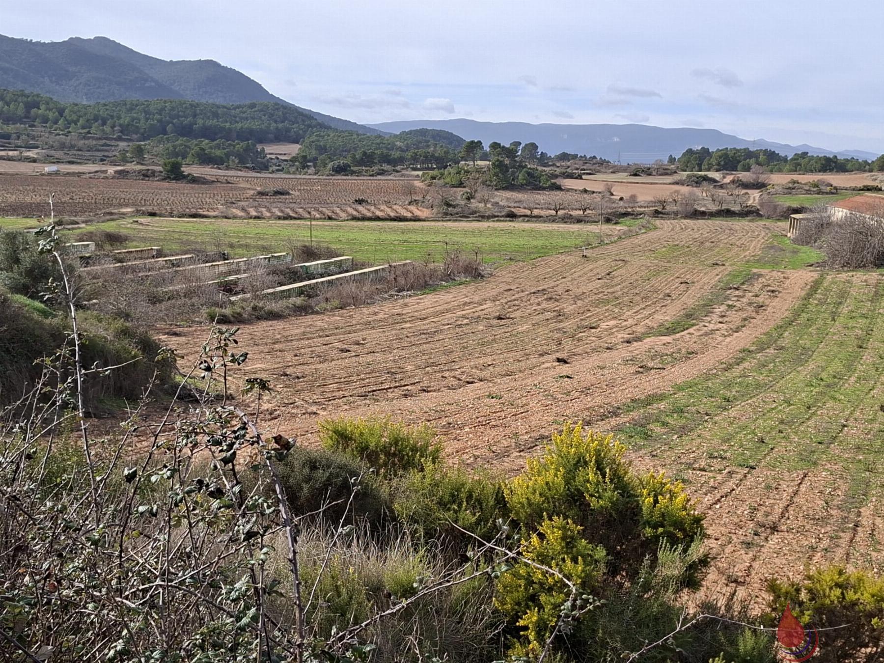 Venta de terreno en Cabra del Camp