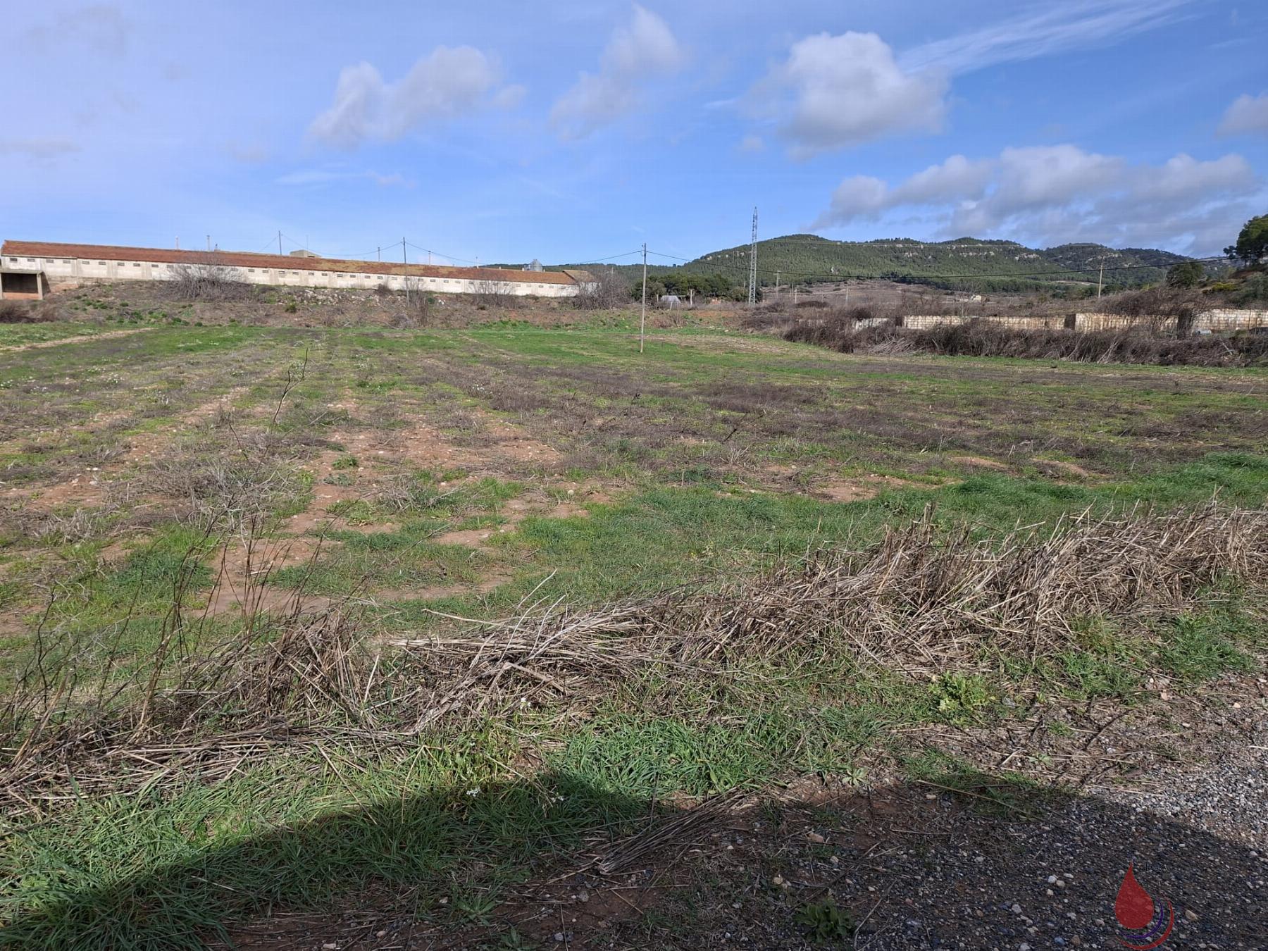 Venta de terreno en Cabra del Camp