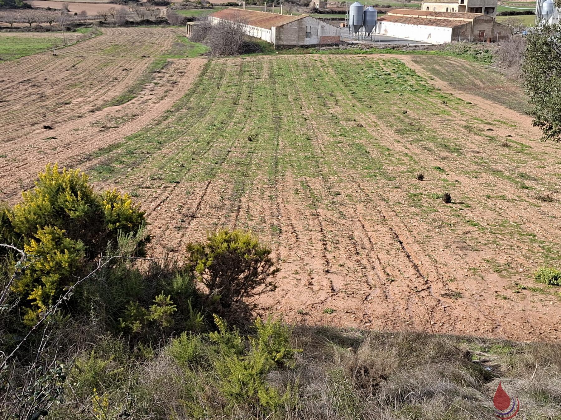Venta de terreno en Cabra del Camp