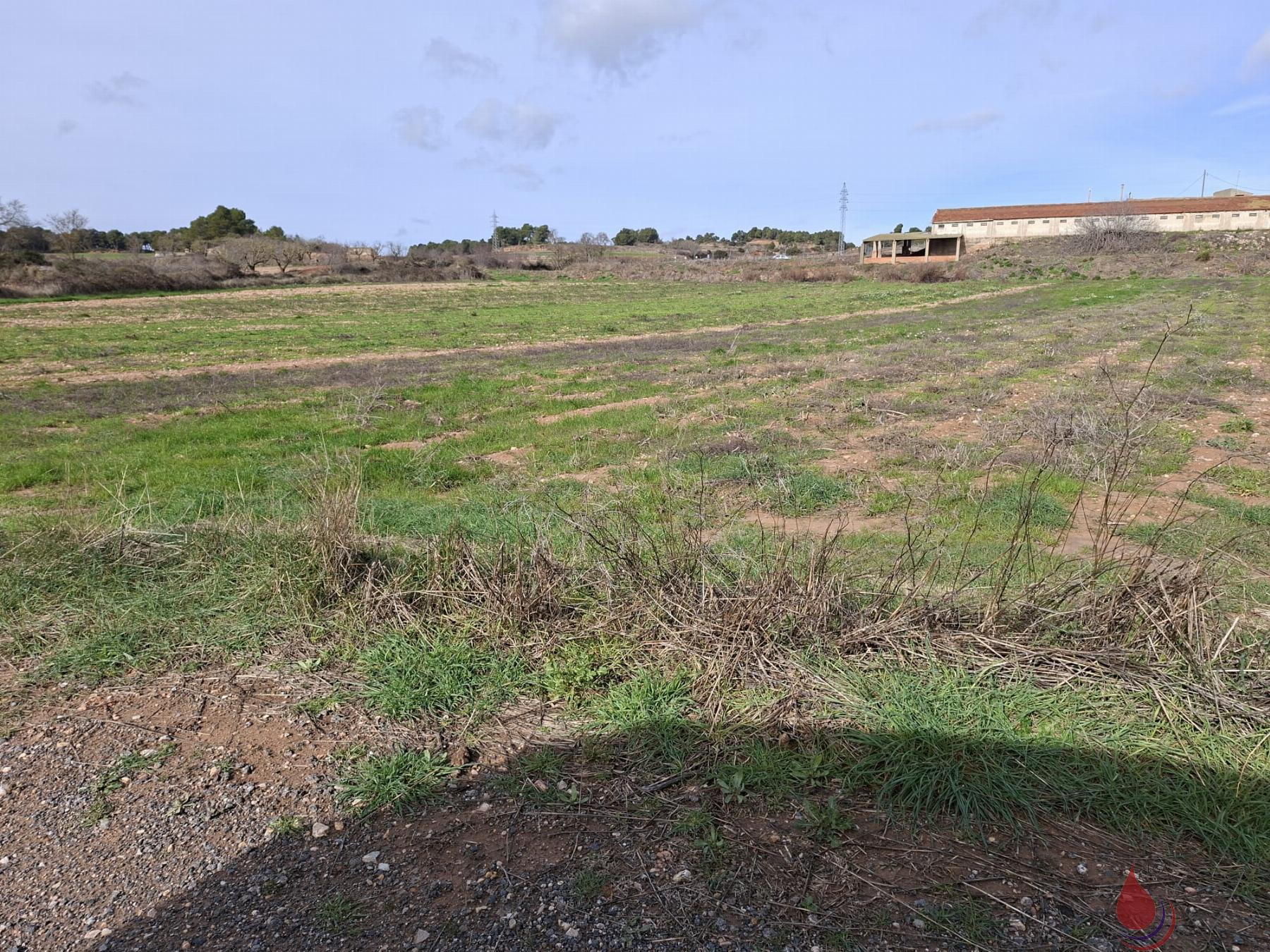 Venta de terreno en Cabra del Camp