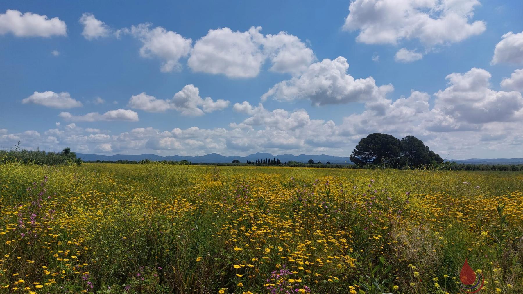 Venta de terreno en Valls