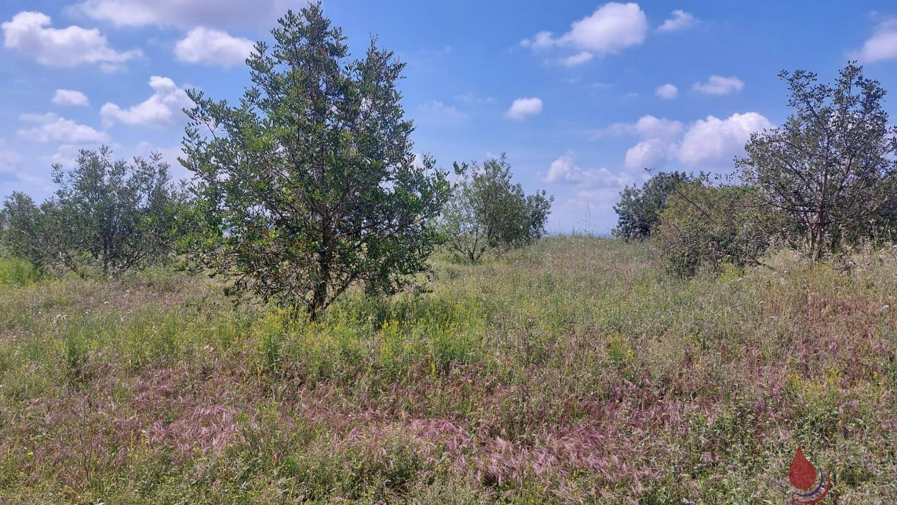 Venta de terreno en Valls