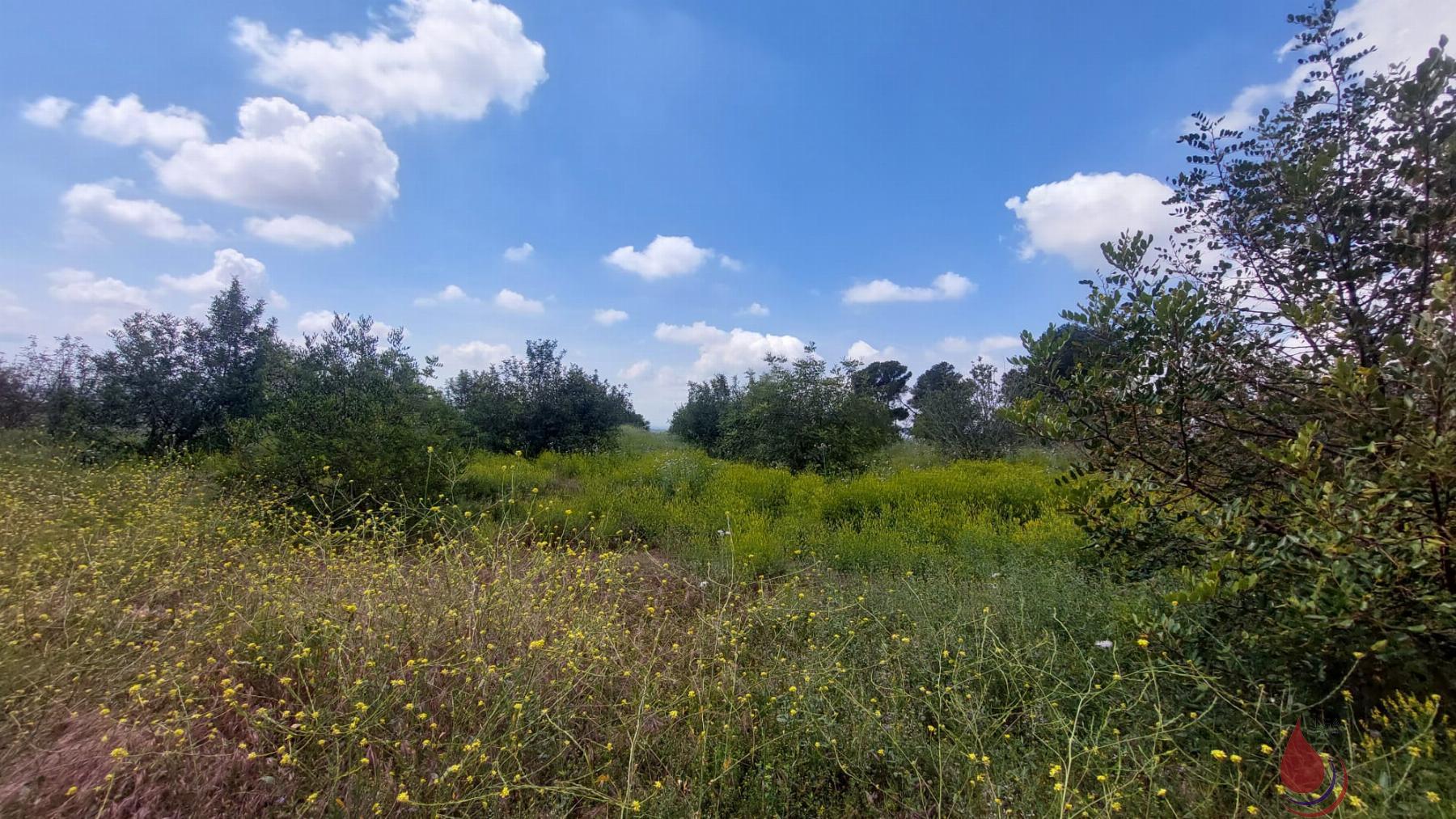 Venta de terreno en Valls