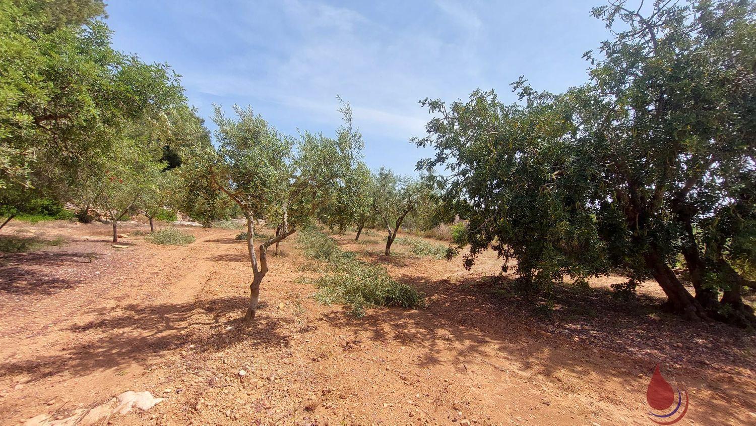 Venta de terreno en El Vendrell Venta de terreno en El Vendrell