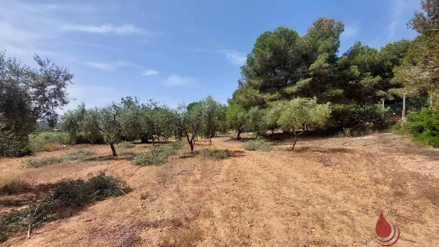 Venta de terreno en El Vendrell