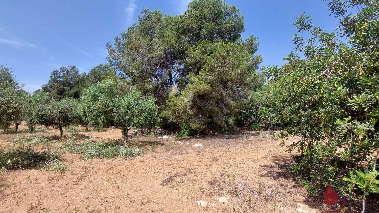 Venta de terreno en El Vendrell