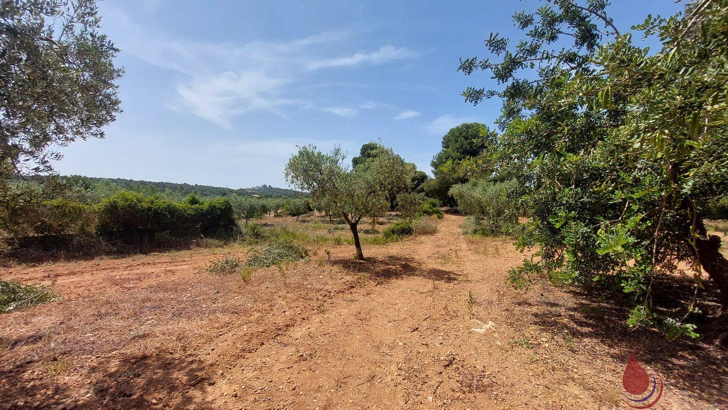 Venta de terreno en El Vendrell