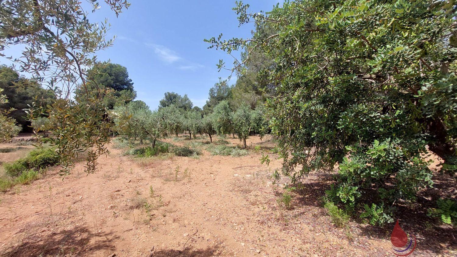 Venta de terreno en El Vendrell