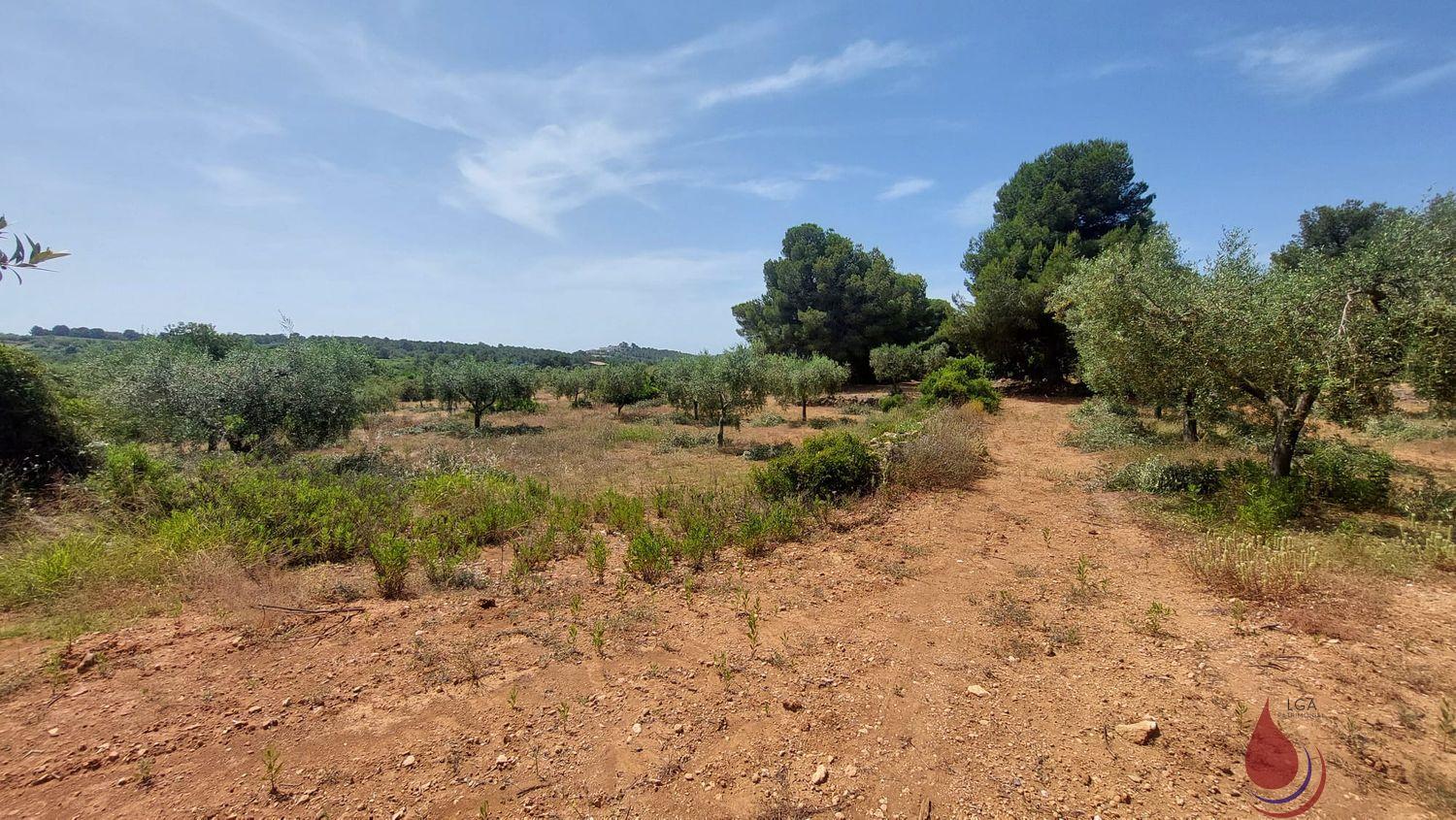 Venta de terreno en El Vendrell