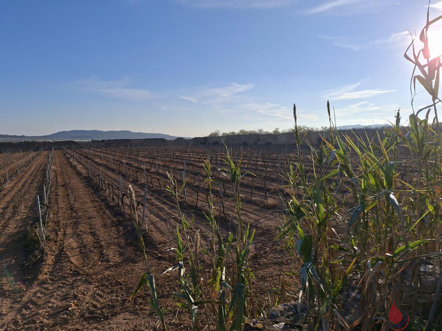 Venta de terreno en Rodonyà