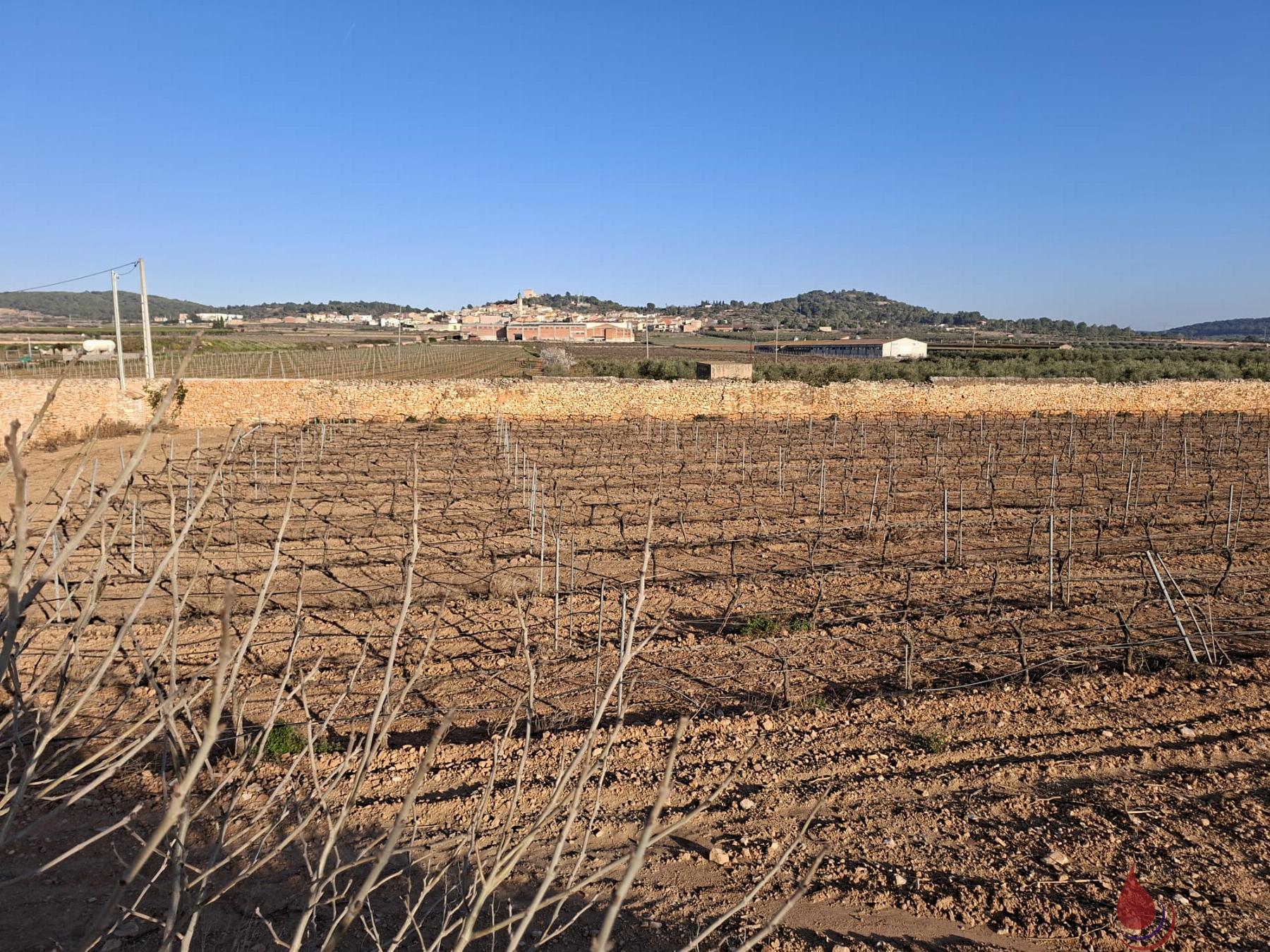 Venta de terreno en Rodonyà