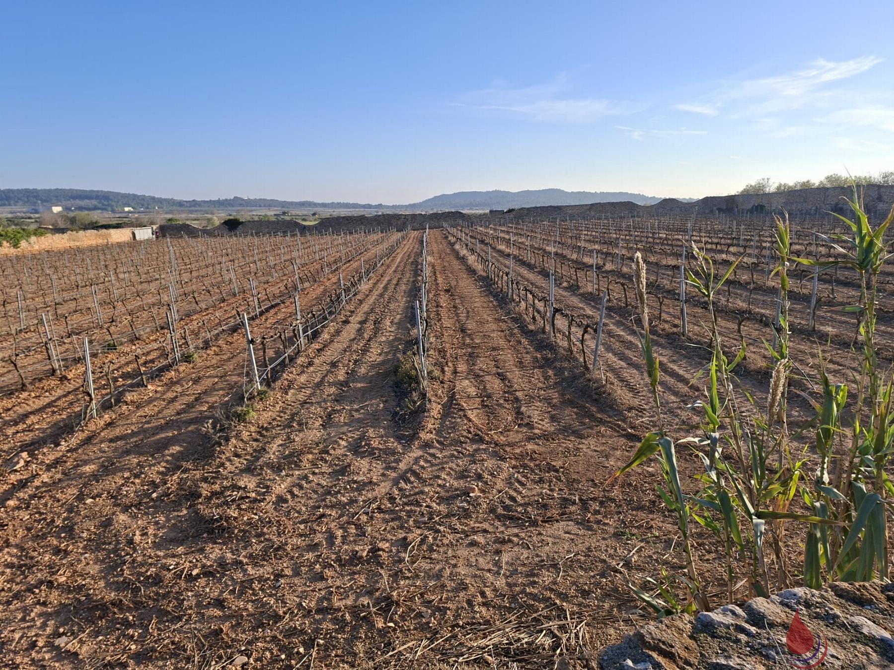 Venta de terreno en Rodonyà