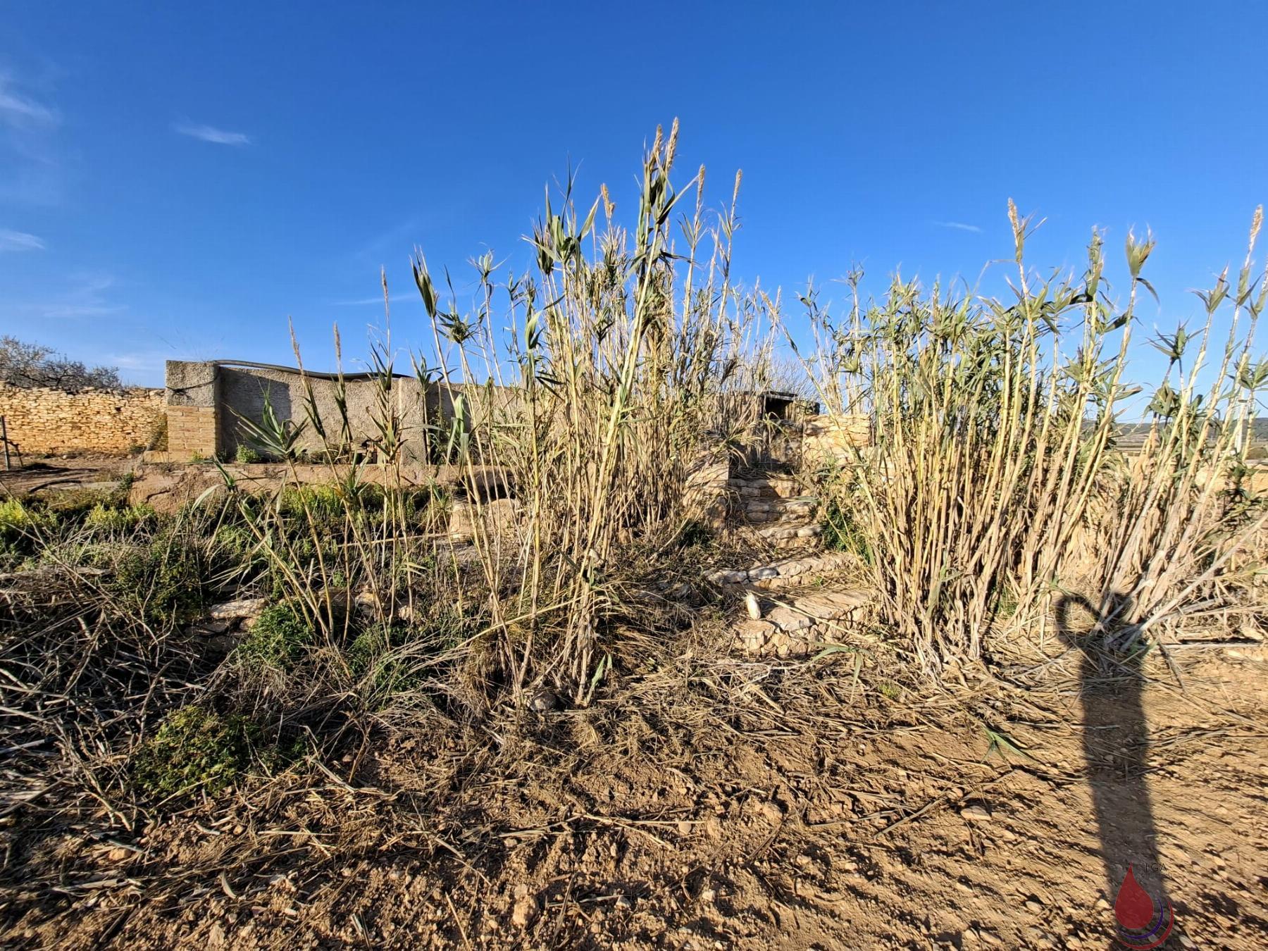 Venta de terreno en Rodonyà