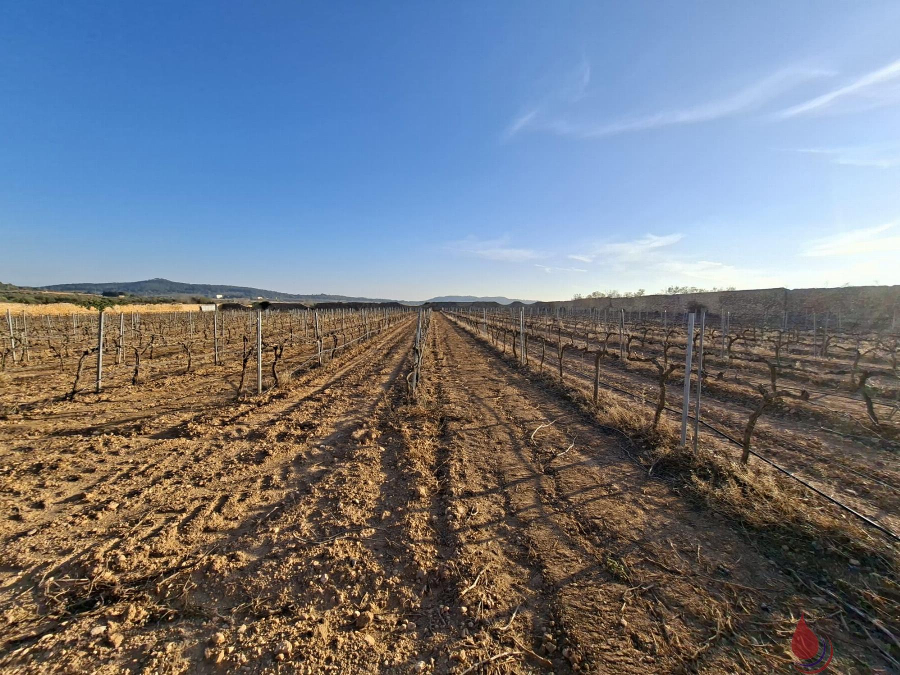 Venta de terreno en Rodonyà