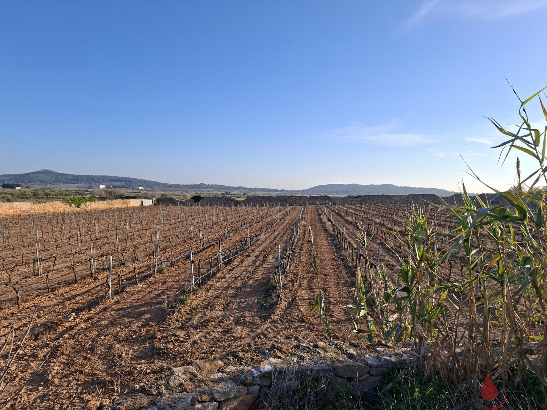 Venta de terreno en Rodonyà