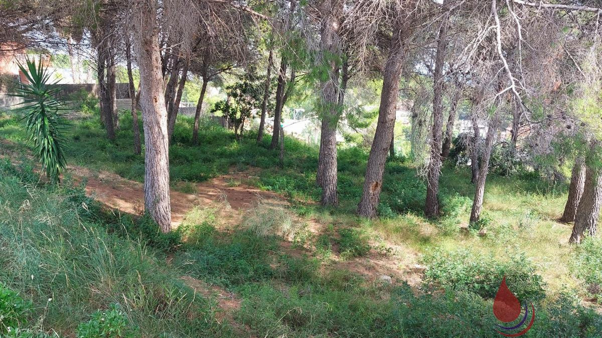 Venta de terreno en Coma - Ruga