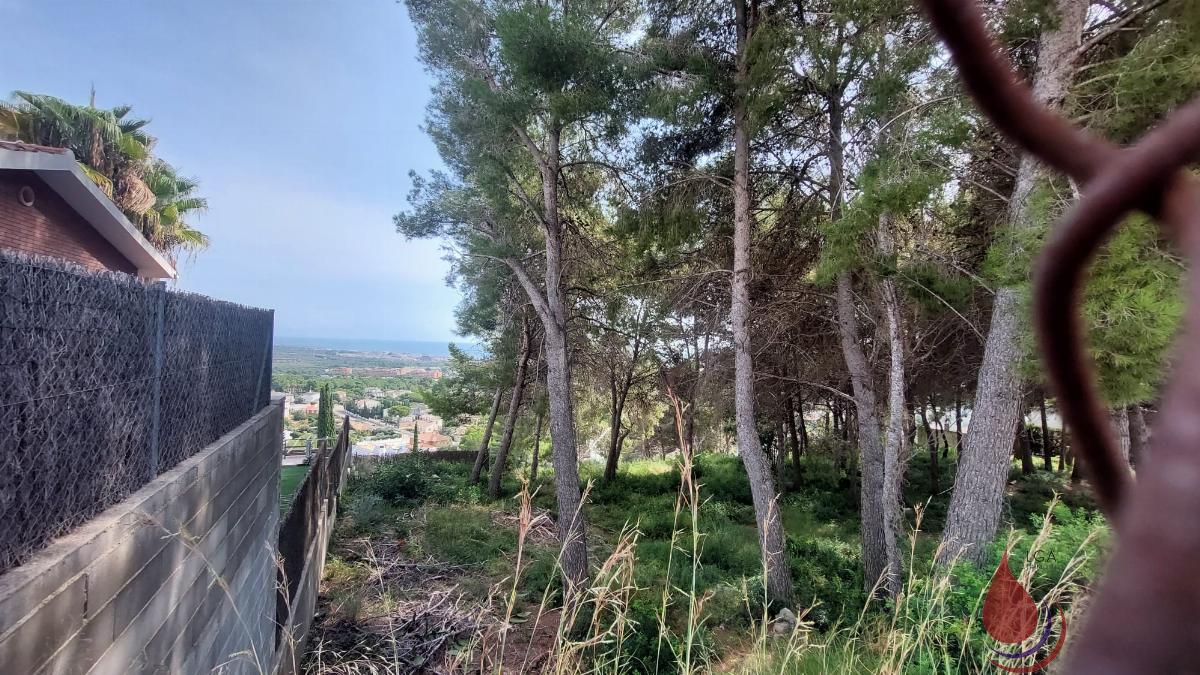 Venta de terreno en Coma - Ruga