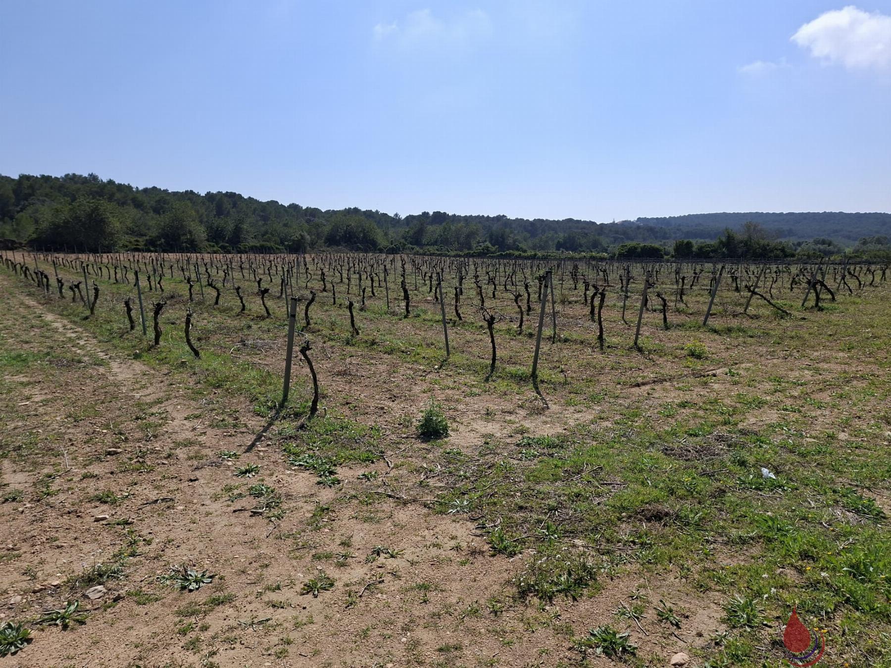 Venta de terreno en El Vendrell