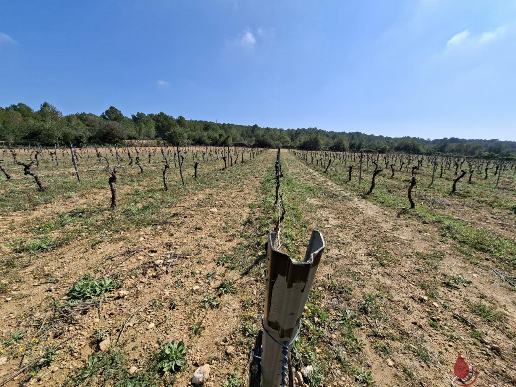Venta de terreno en El Vendrell