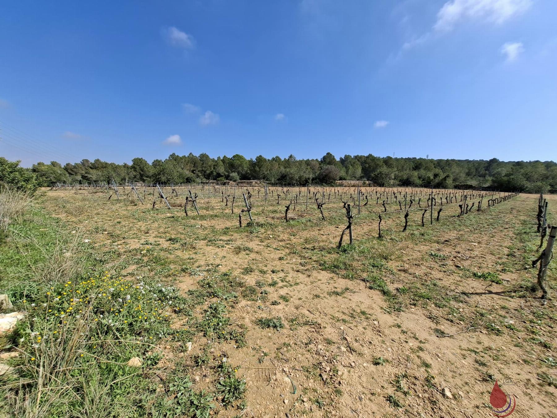 Venta de terreno en El Vendrell