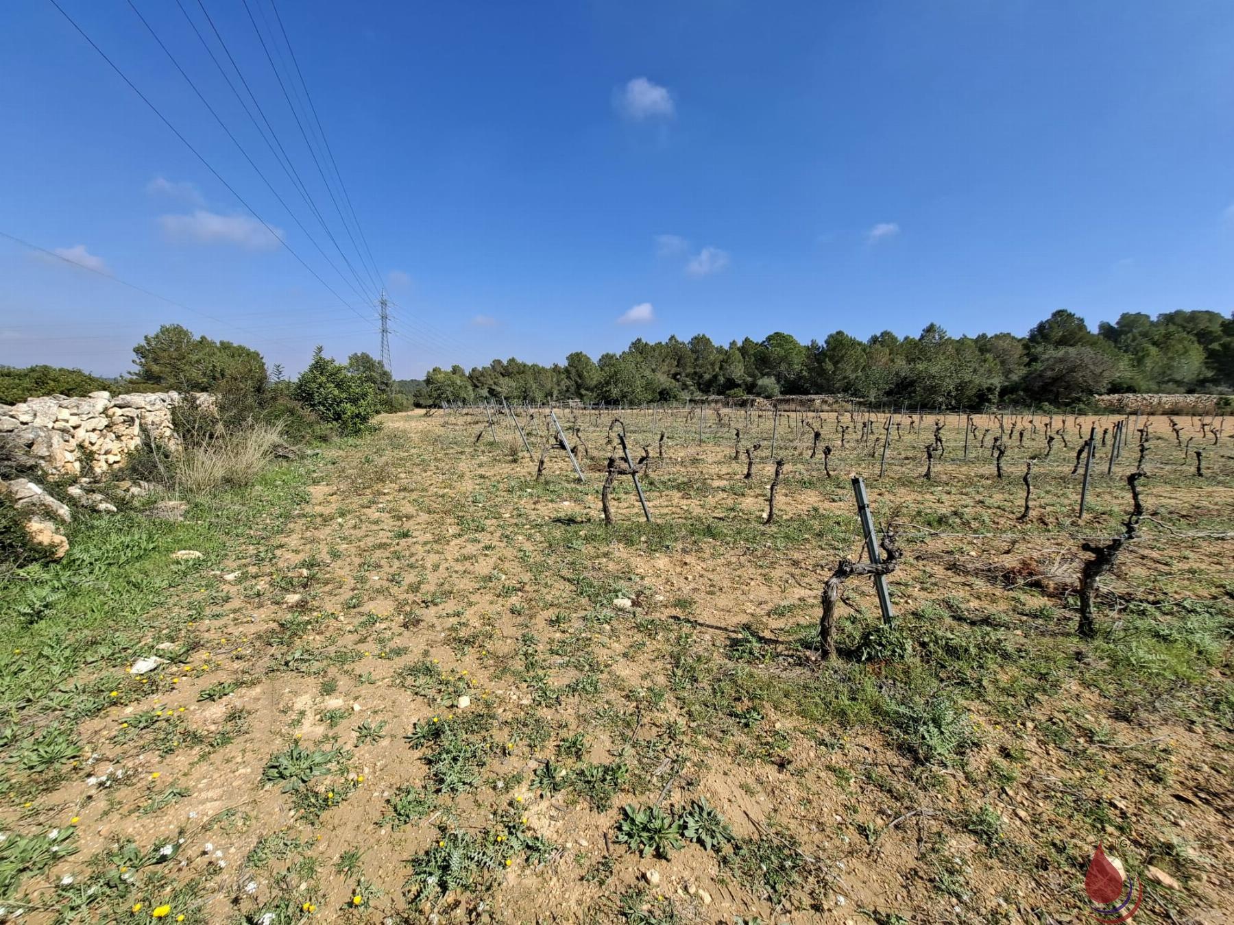 Venta de terreno en El Vendrell