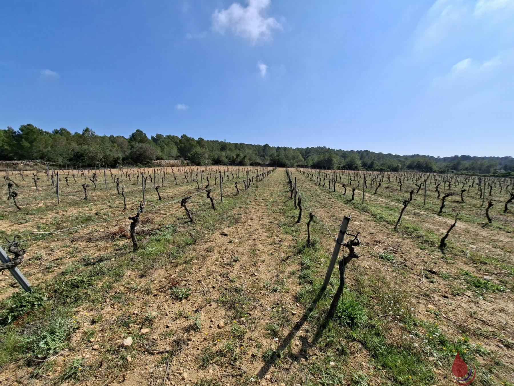 Venta de terreno en El Vendrell