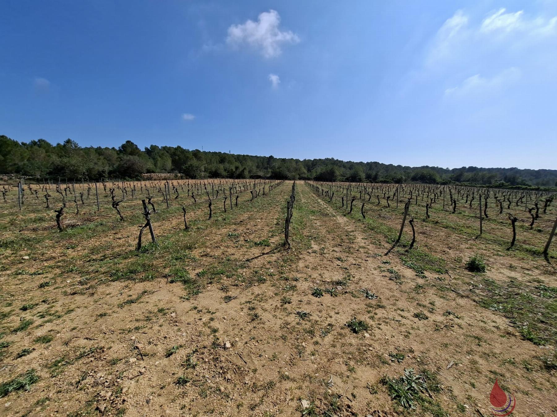 Venta de terreno en El Vendrell