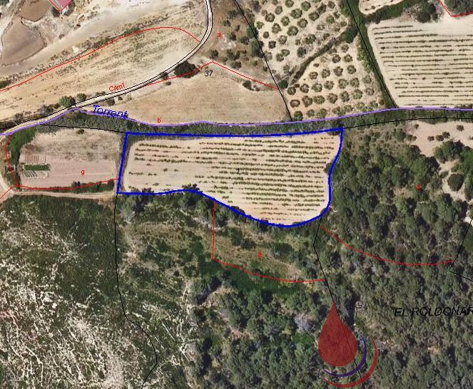 Venta de terreno en Bonastre