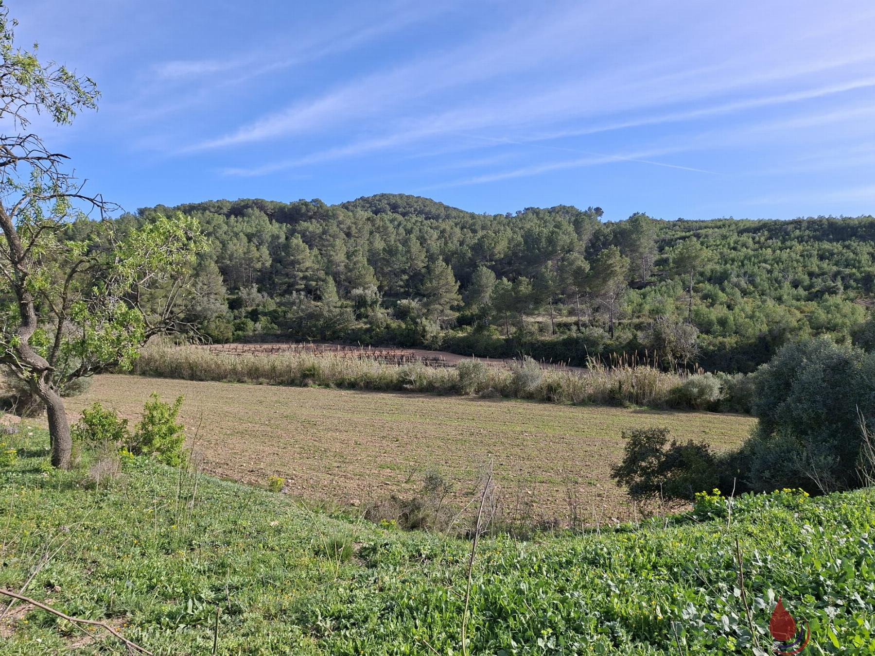 Venta de terreno en Bonastre