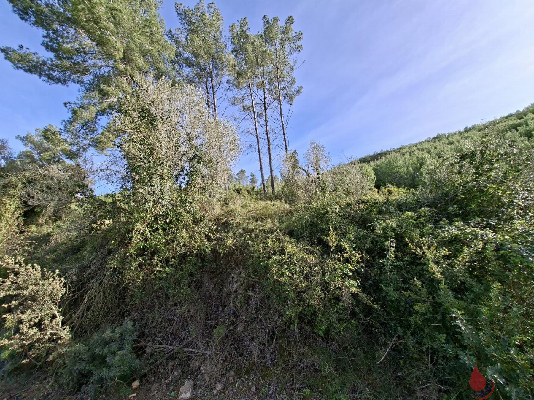 Venta de terreno en Bonastre