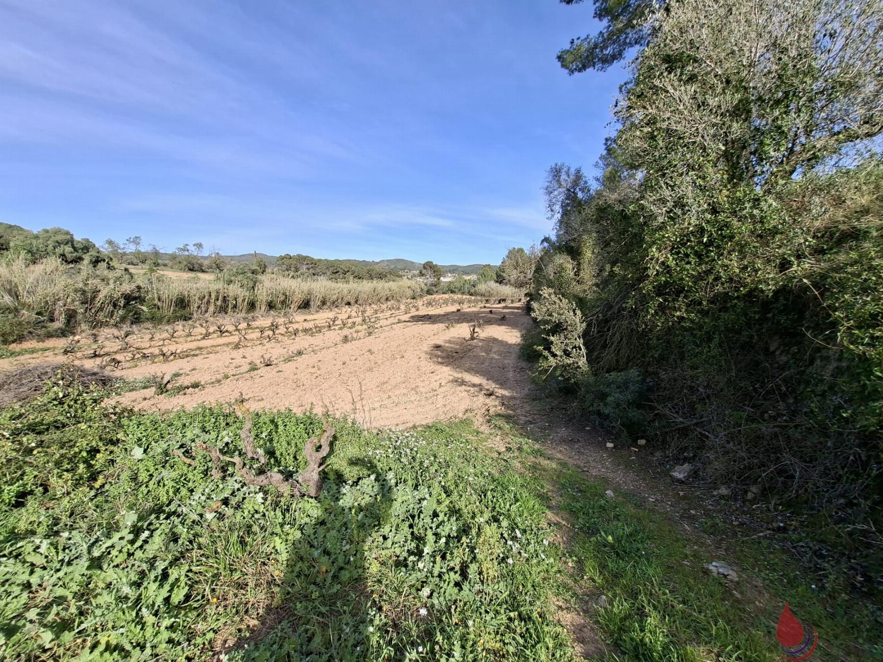 Venta de terreno en Bonastre