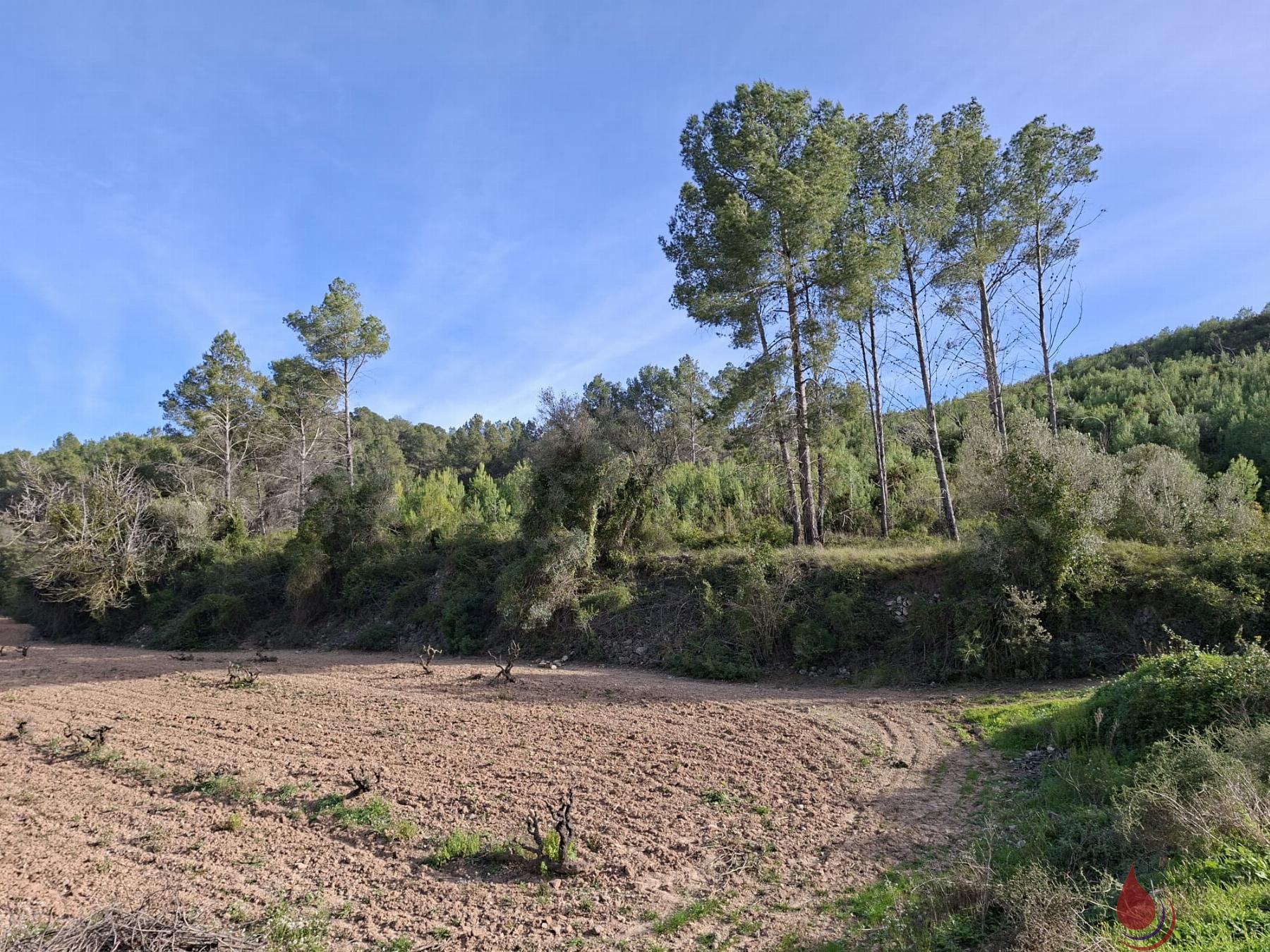 Venta de terreno en Bonastre