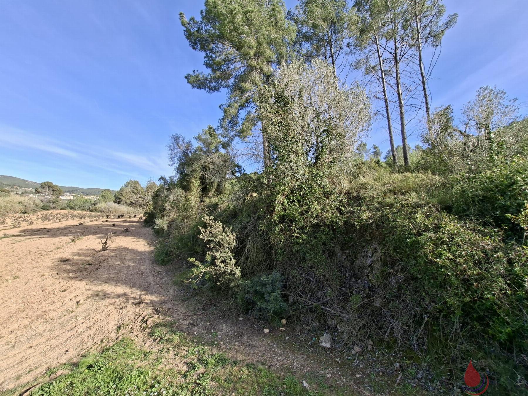 Venta de terreno en Bonastre