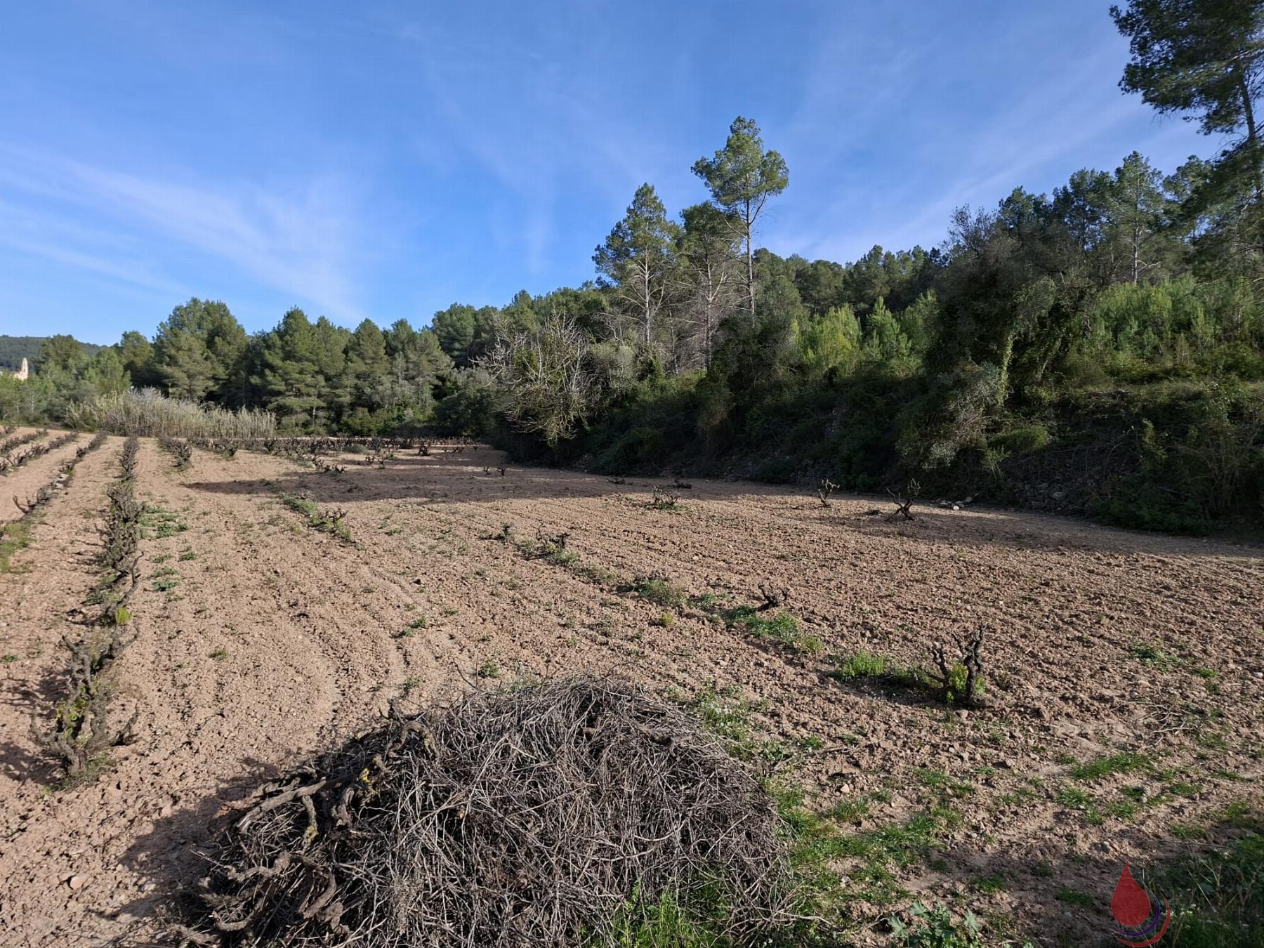 Venta de terreno en Bonastre