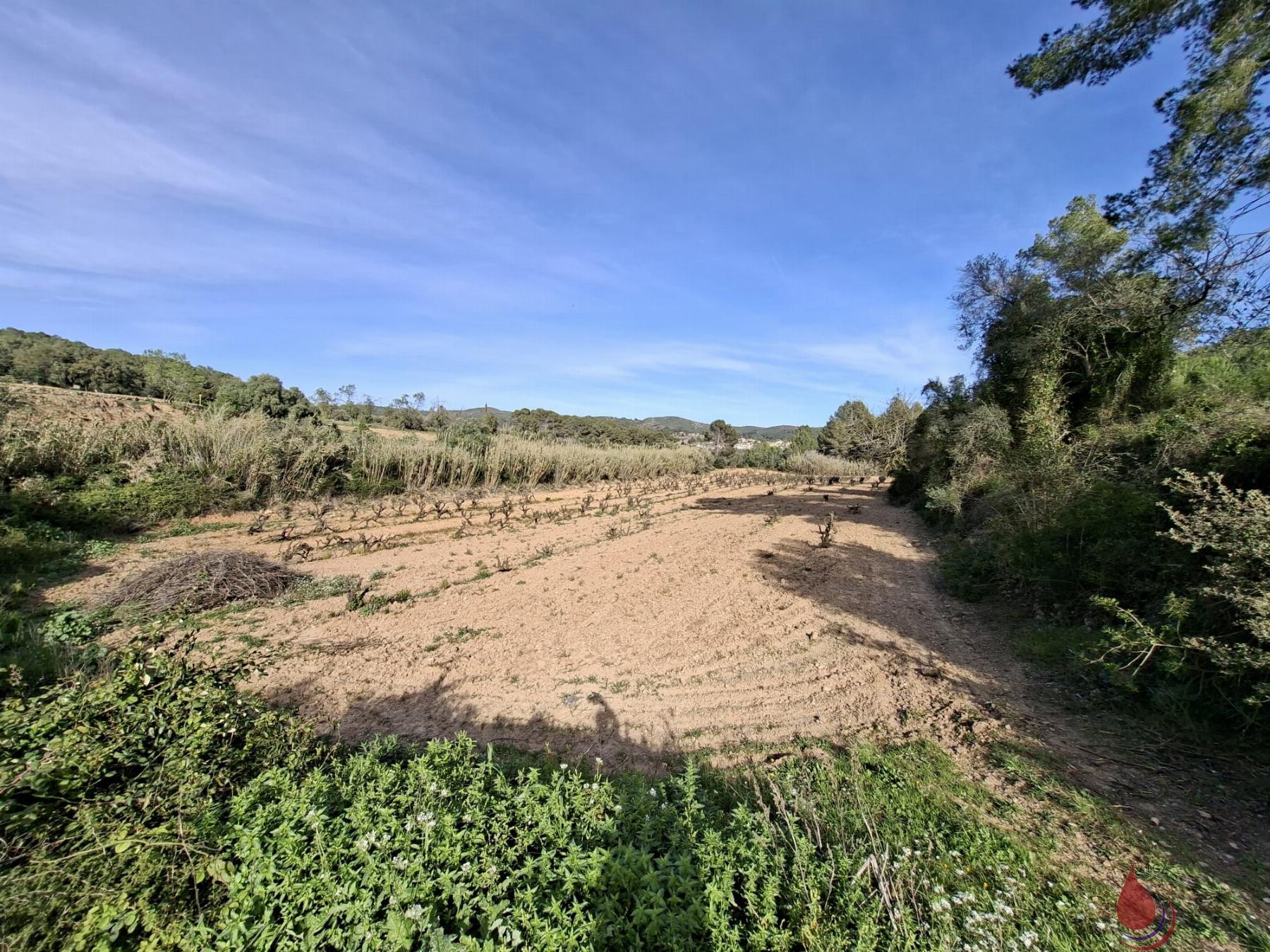 Venta de terreno en Bonastre