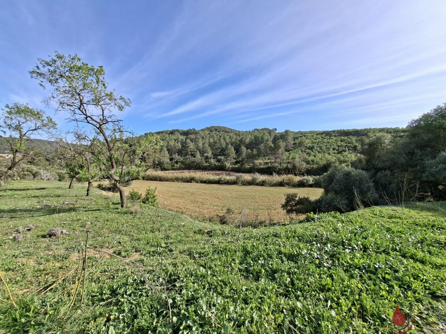 Venta de terreno en Bonastre