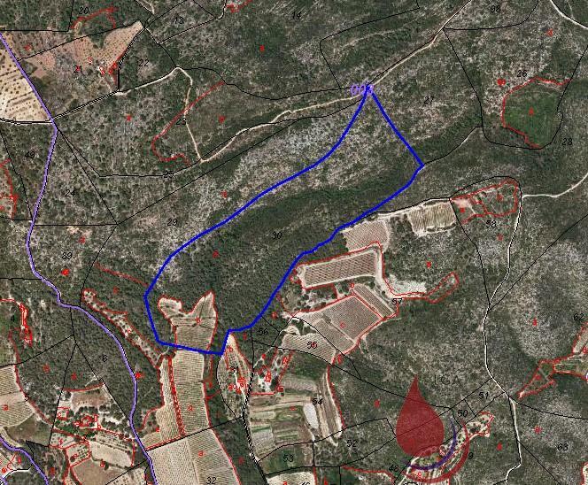 Venta de terreno en Bonastre