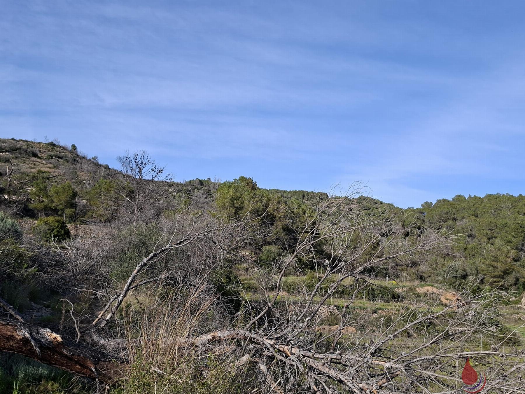 Venta de terreno en Bonastre