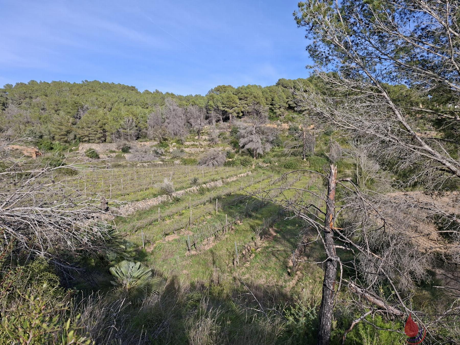 Venta de terreno en Bonastre