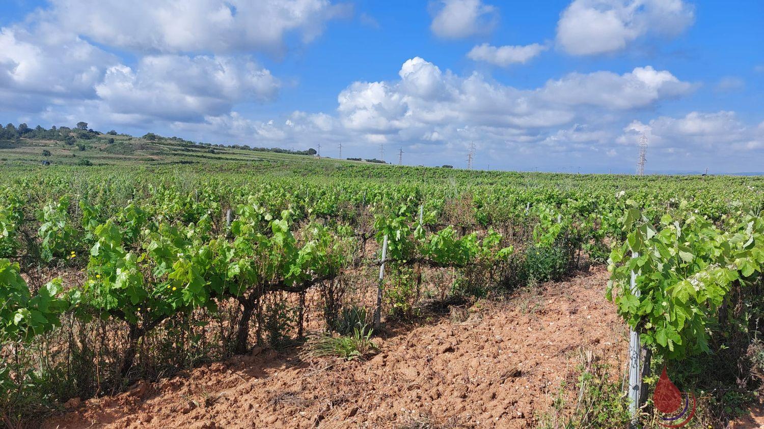 Venta de terreno en La Secuita