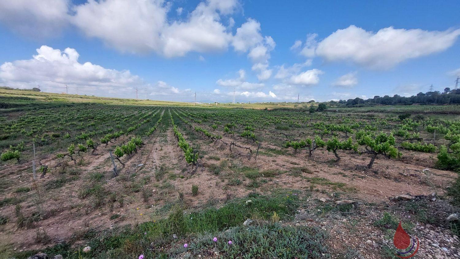 Venta de terreno en La Secuita