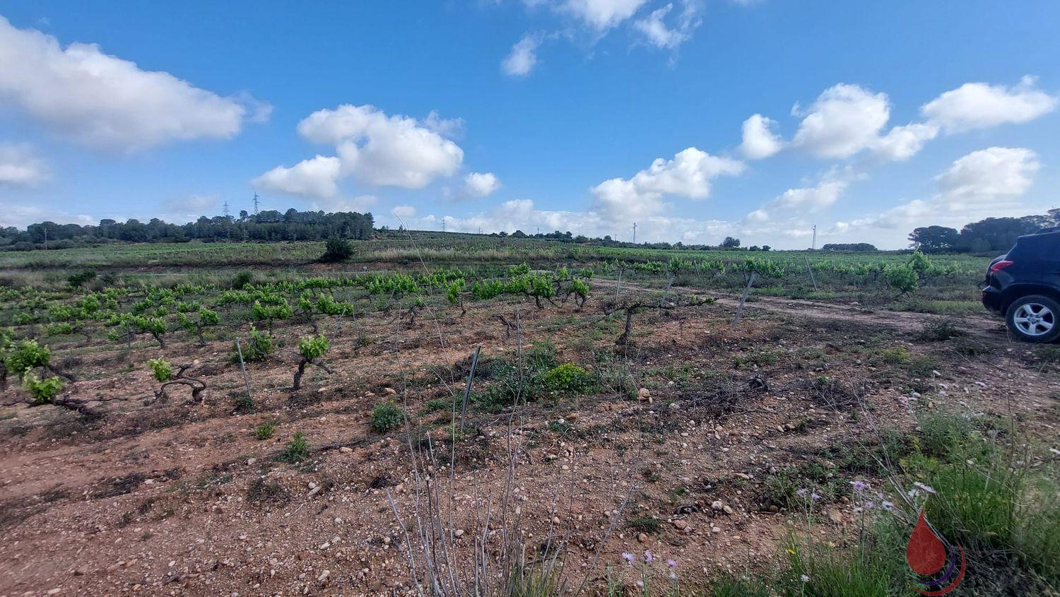 Venta de terreno en La Secuita