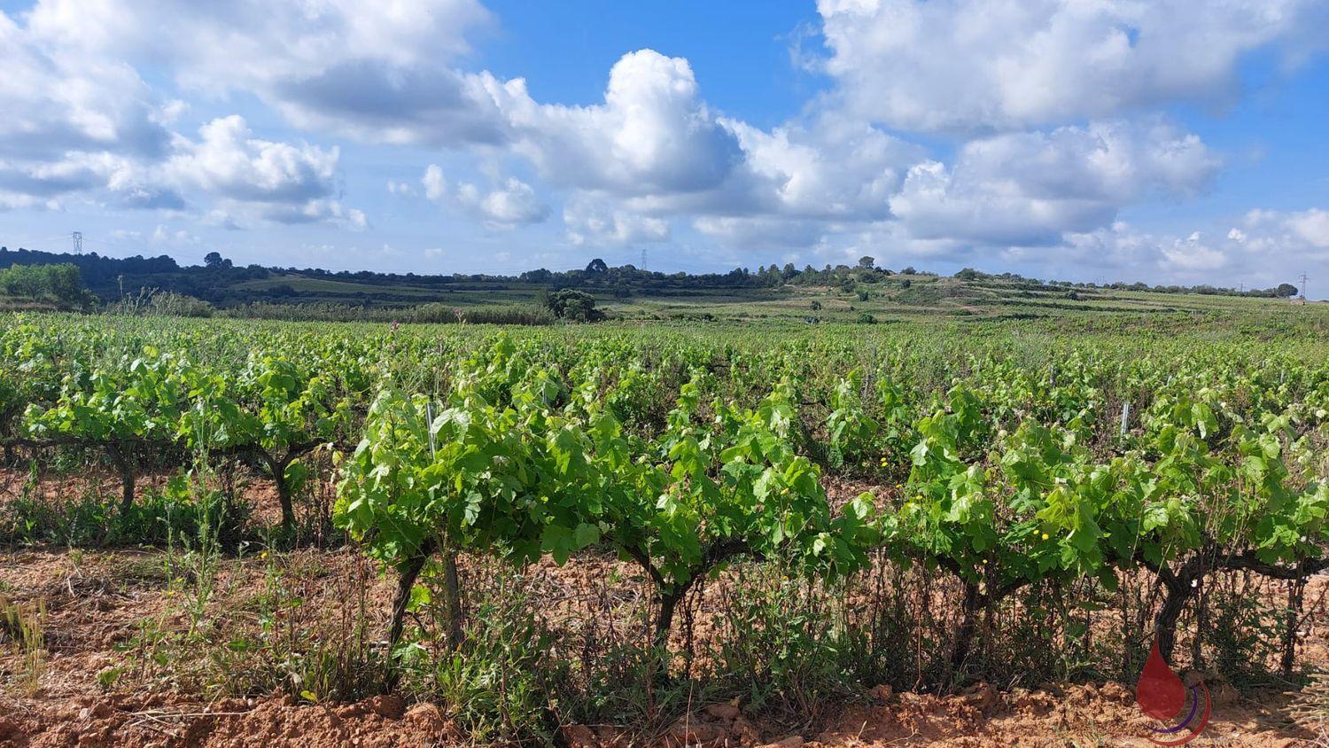 Venta de terreno en La Secuita