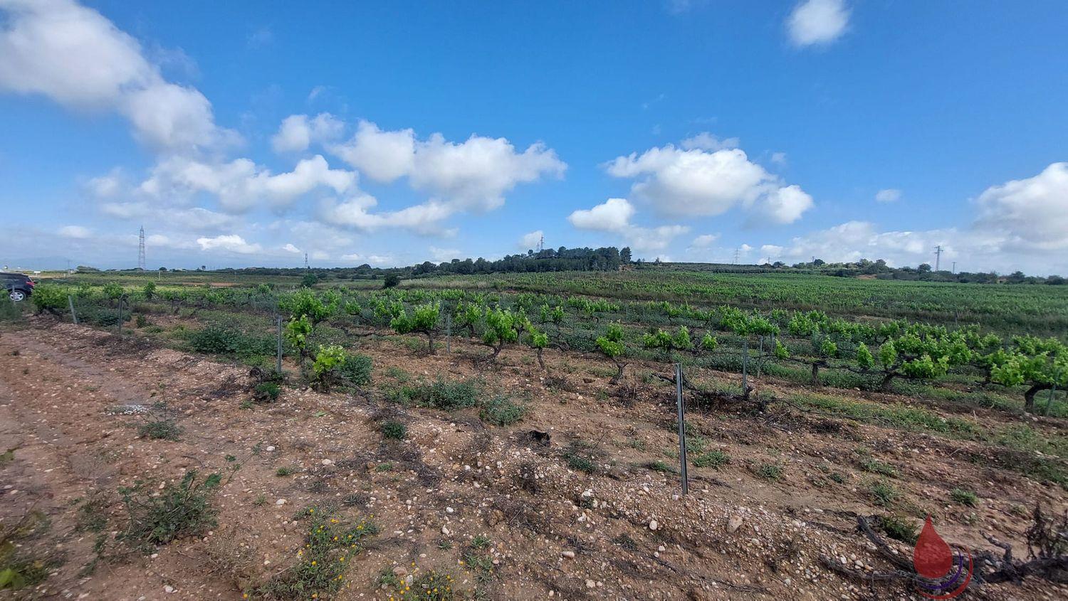 Venta de terreno en La Secuita