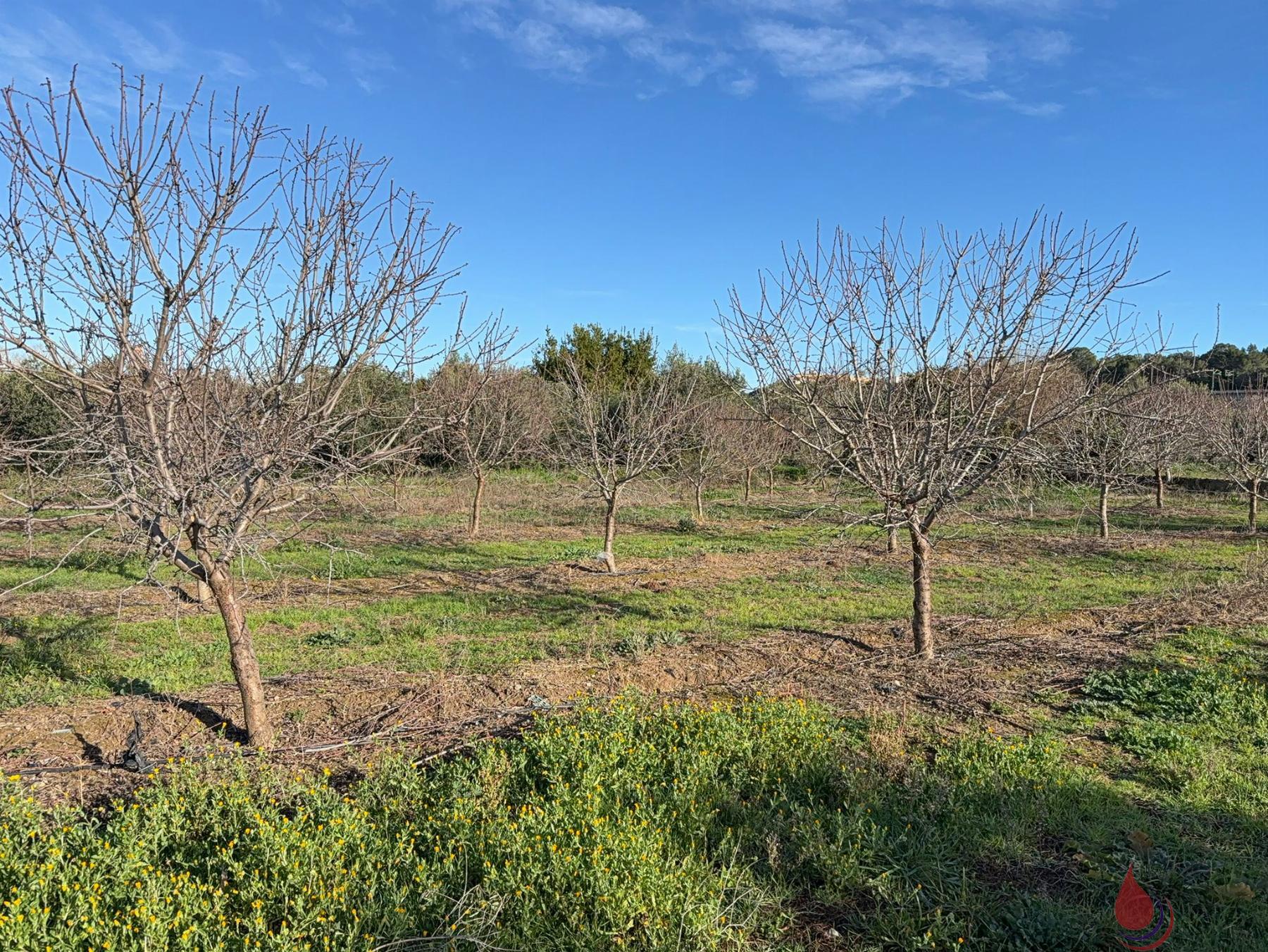 Venta de terreno en Perafort