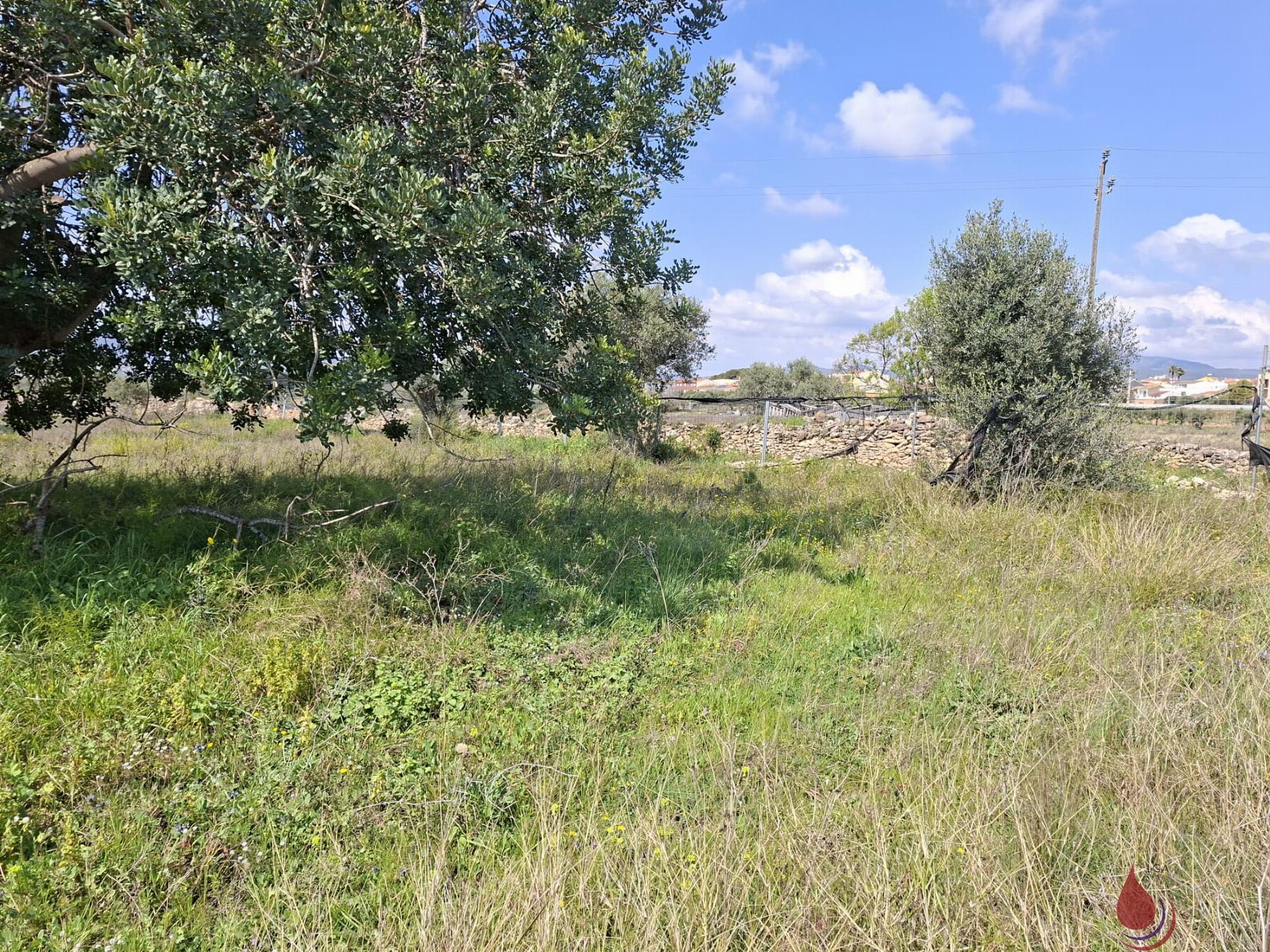 Venta de terreno en Santa Oliva